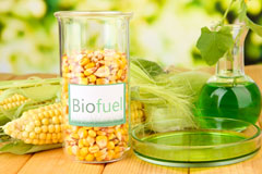 Carisbrooke biofuel availability