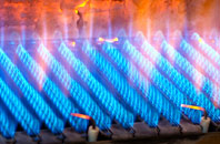Carisbrooke gas fired boilers